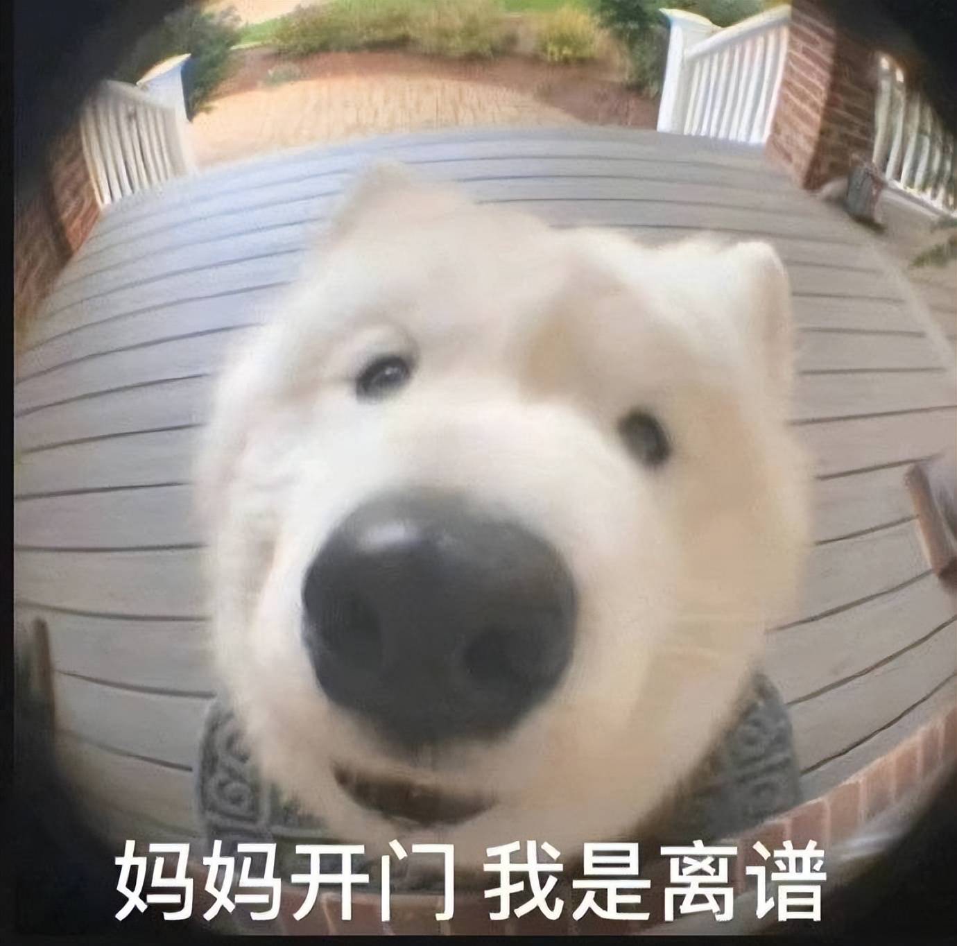 麻将胡了2-游戏界泥石流！小程序游戏到底给玩家放了什么迷魂汤？
